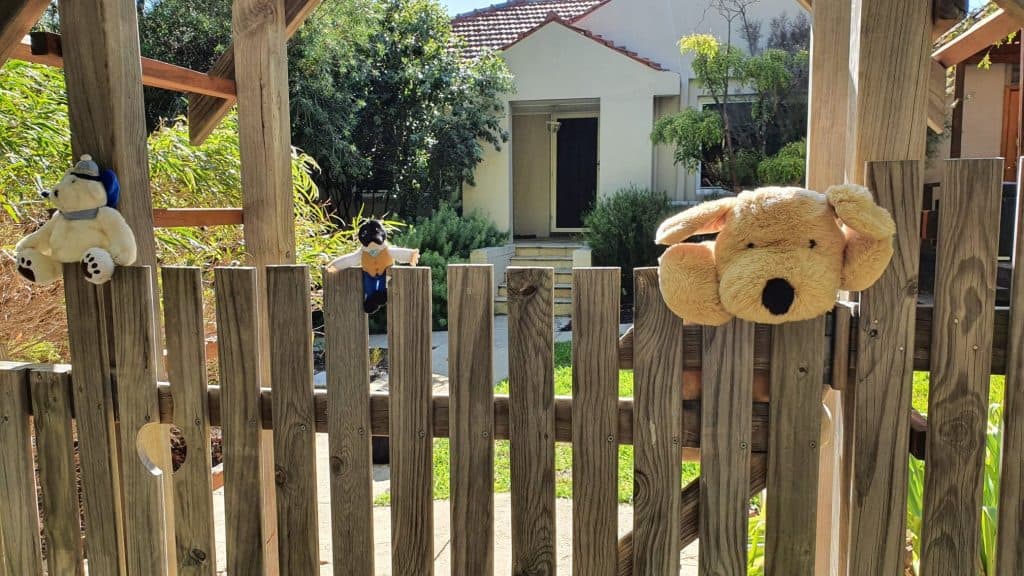 Bearhunt in Melville - teddy bears on fence
